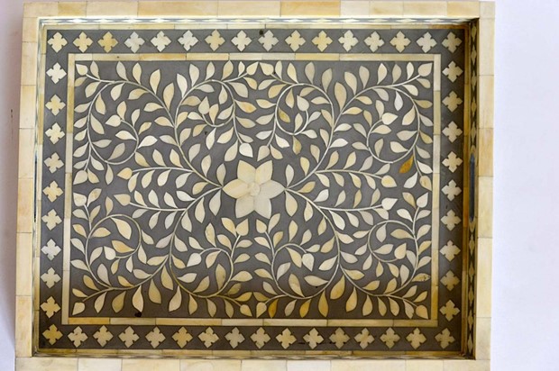 paras udaipur