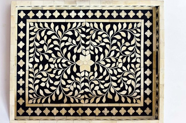 paras udaipur