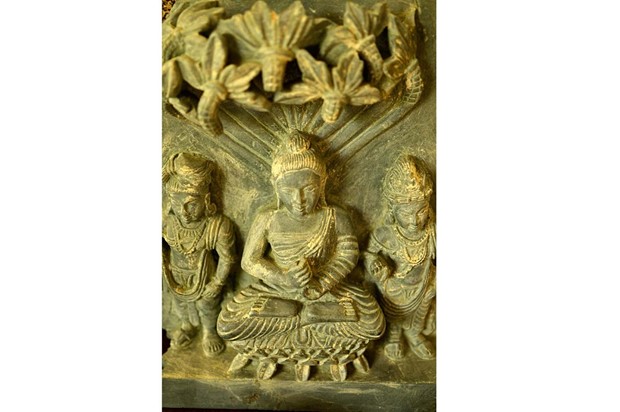 paras udaipur