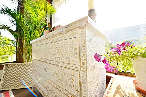 paras udaipur