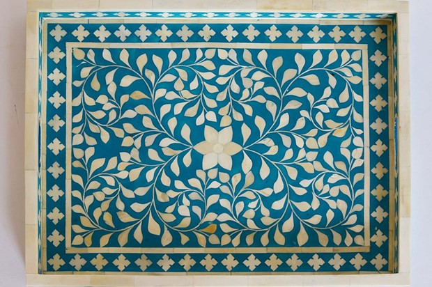 paras udaipur
