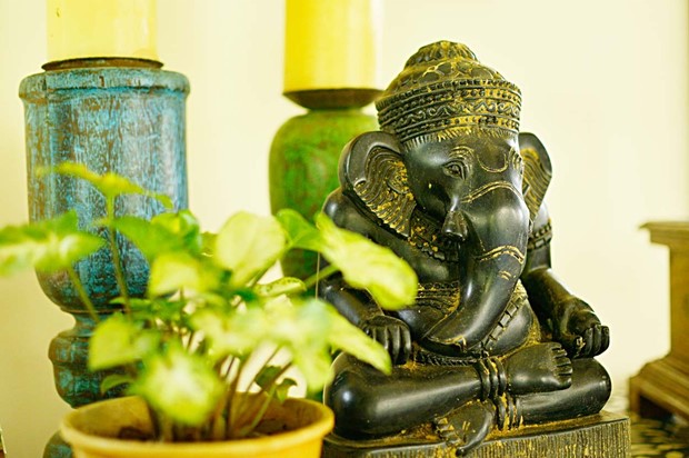 paras udaipur