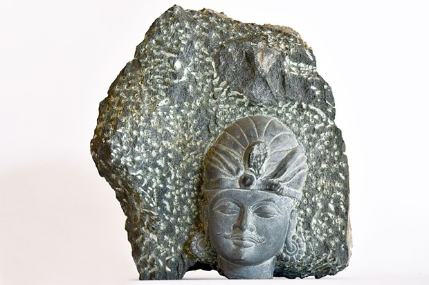 paras udaipur