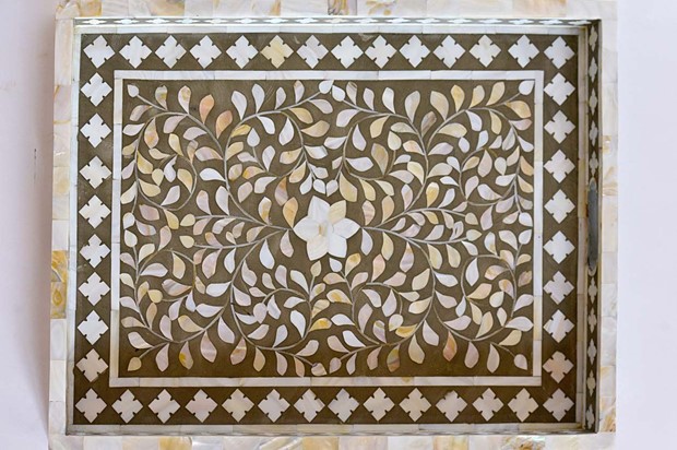 paras udaipur